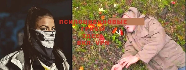 гашик Нефтегорск